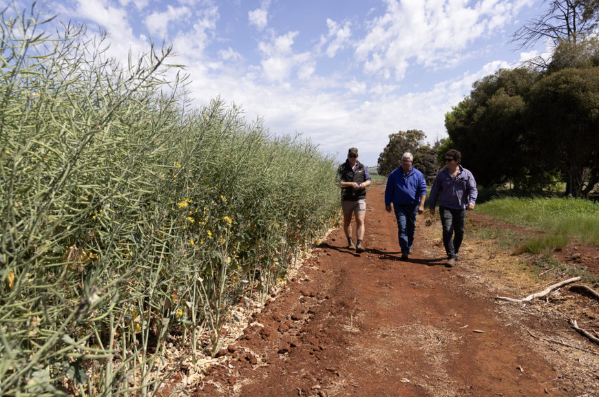 GrainCorp Next: Driving a low-carbon future for Aussie agriculture